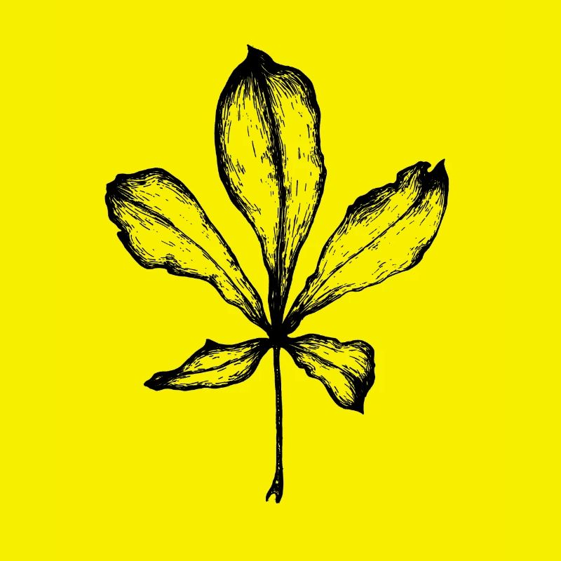 chestnut leaf