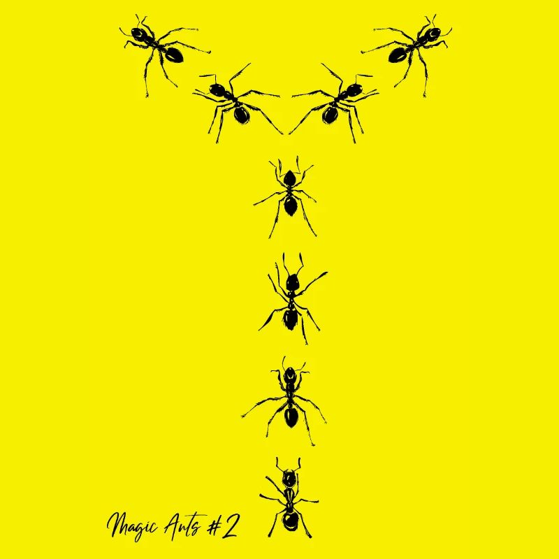Magic Ant´s #2