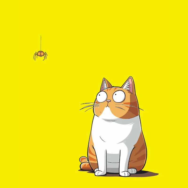 Katze vs. Spinne