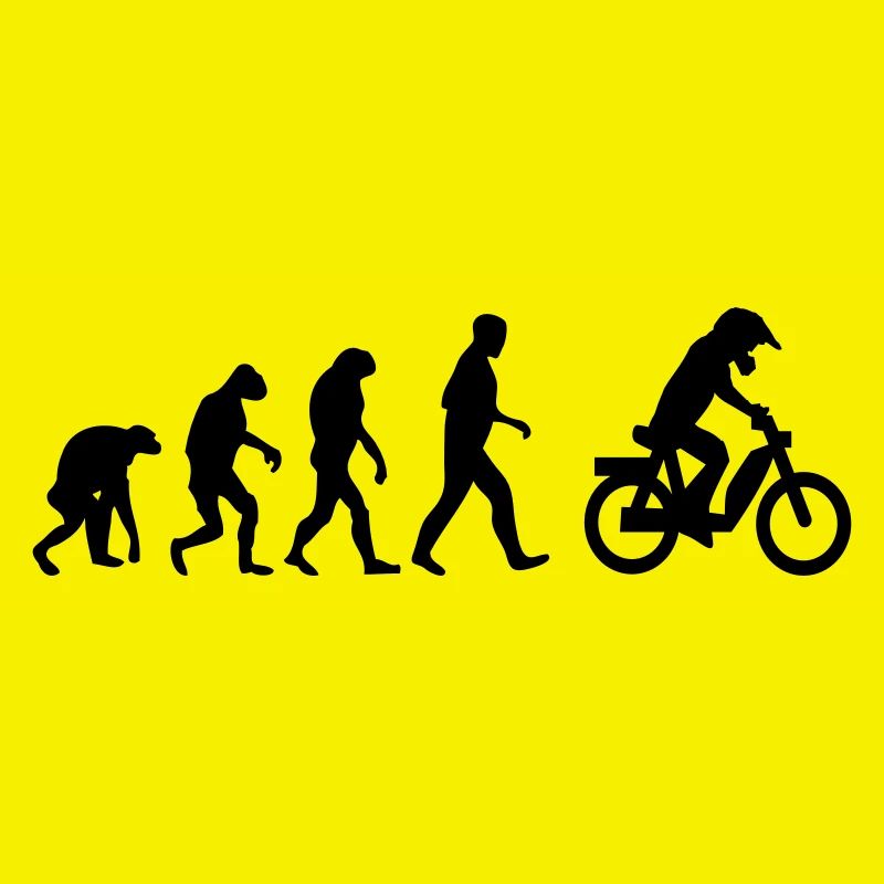 mofa evolution 15. Geburtstag