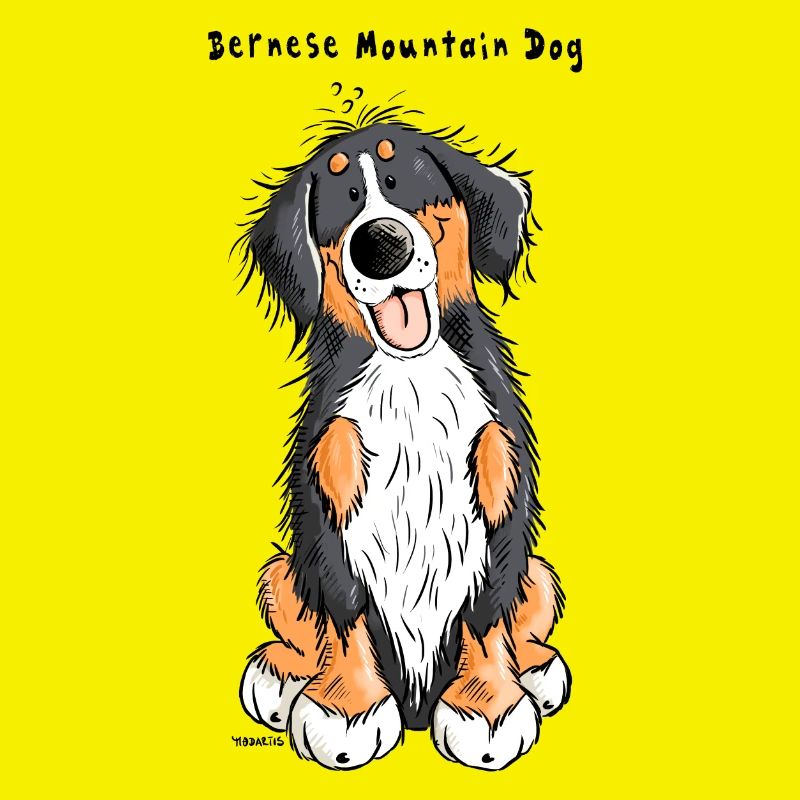 Berner Sennenhund mach Sitz