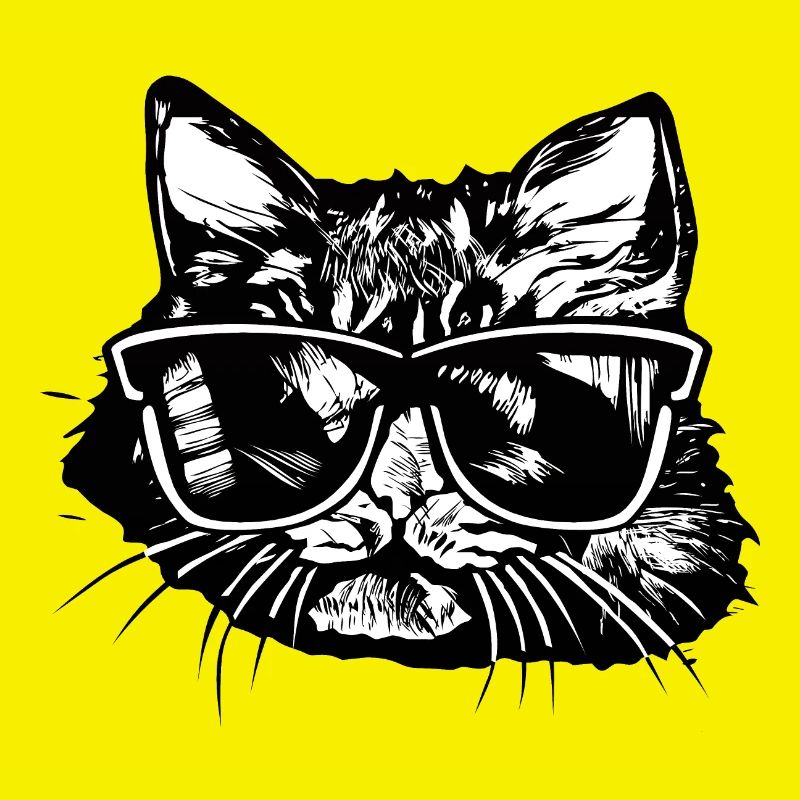tete chat lunette soleil dessin 1 A