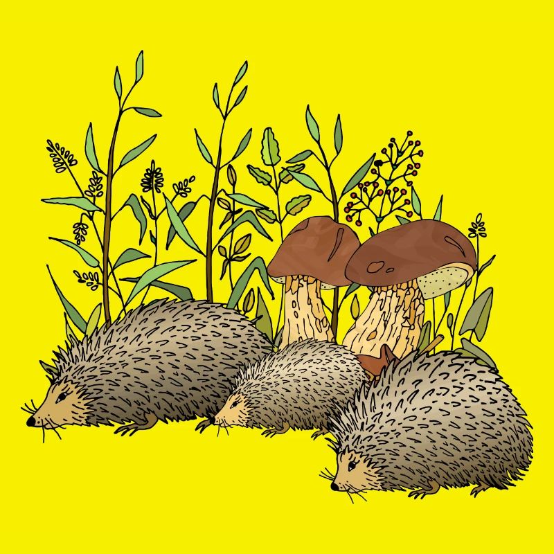 Igel