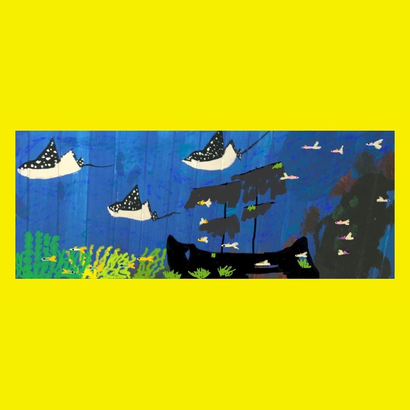 Rays , Ship, Fish