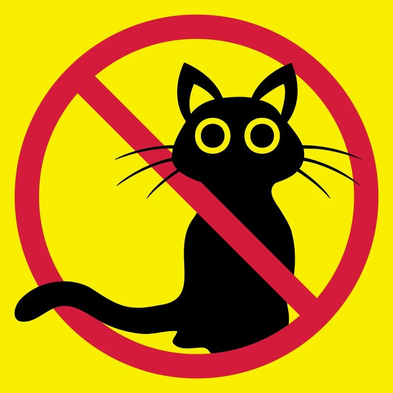 Schwarze Katze verboten