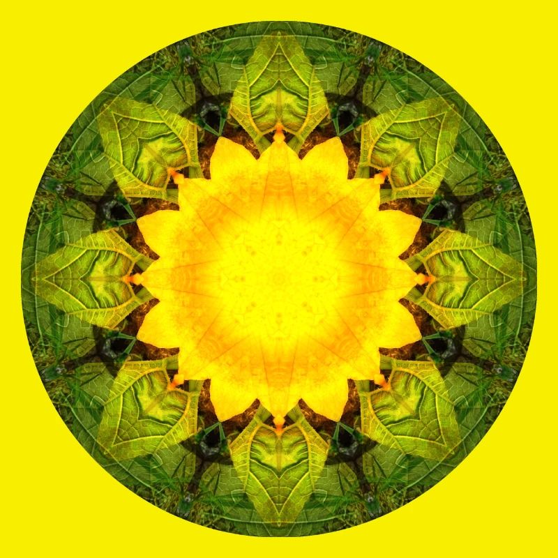 Mandala-Quantum 5