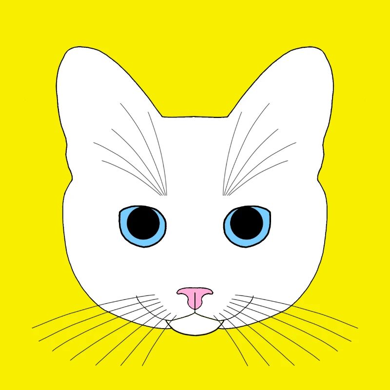 Chat blanc