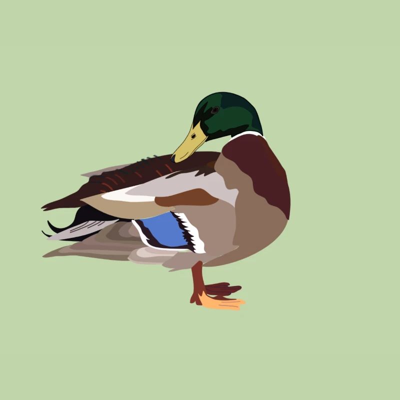 Ente