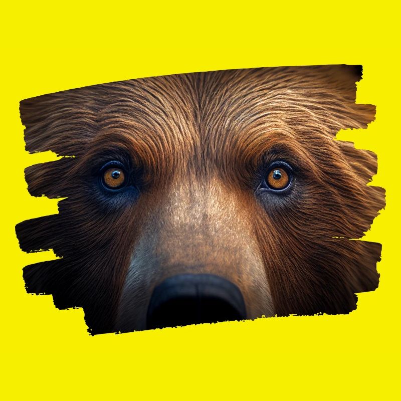 Bear face / bear head