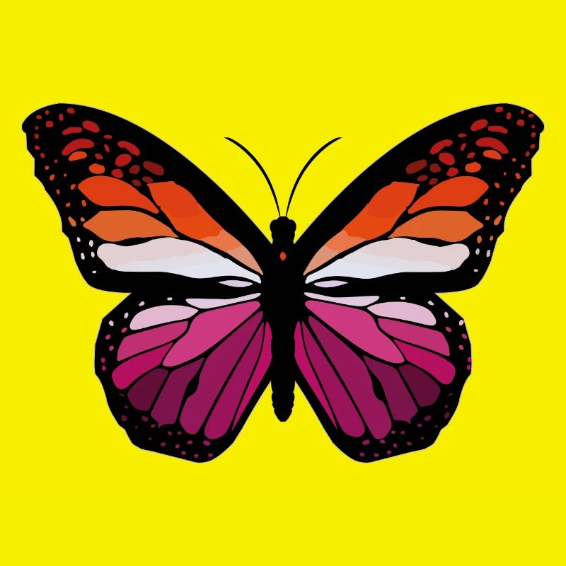 Lesbian Monarch Butterfly