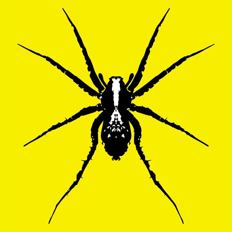 Spider / Wolf Spider
