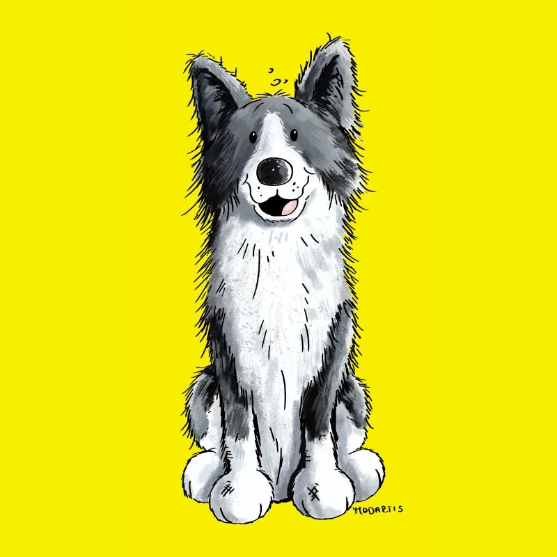 Fröhlicher Border Collie
