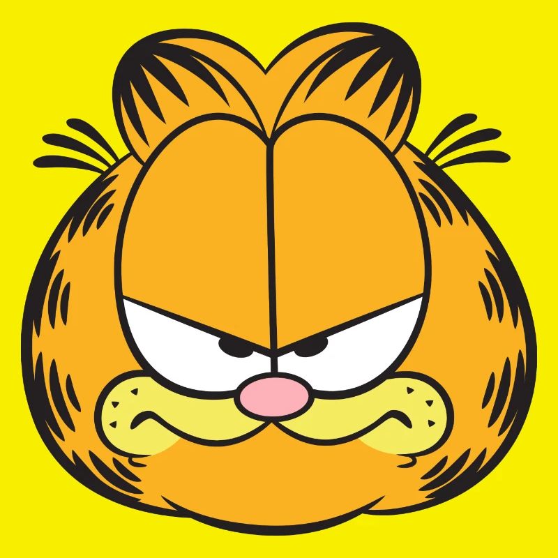 Garfield Costume Visage