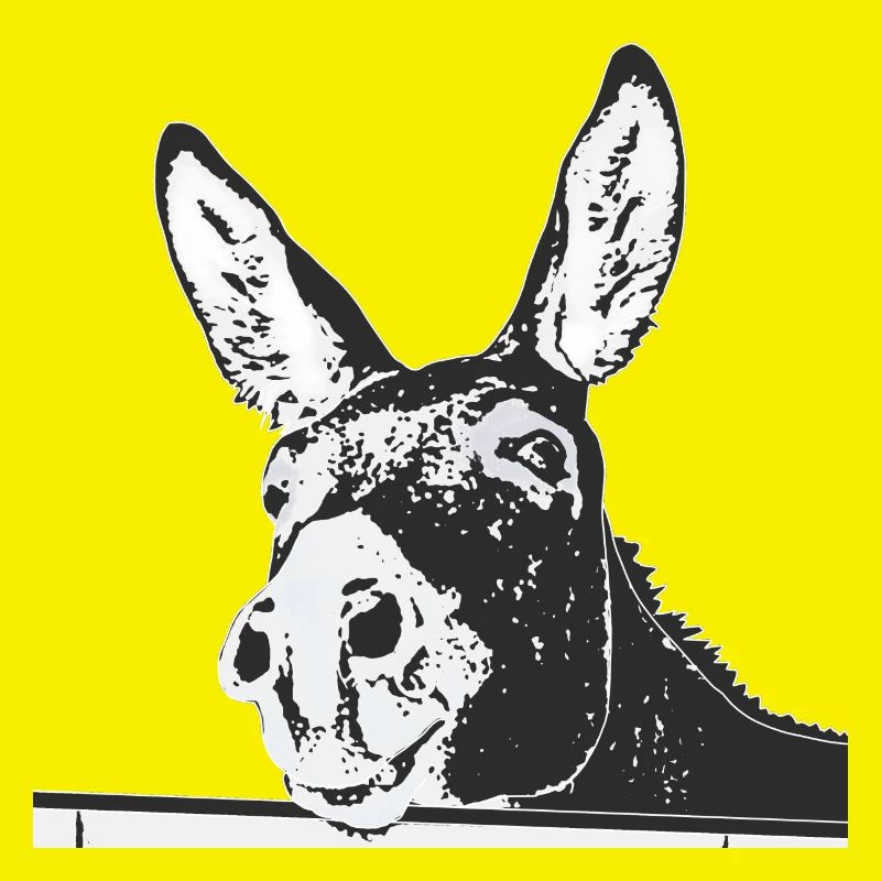 donkey