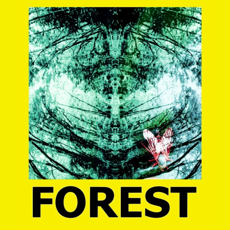 Caleidoscopio forestale FORESTA