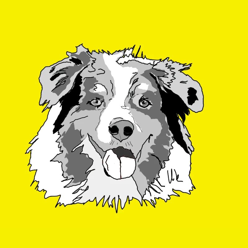 Australian Shepherd