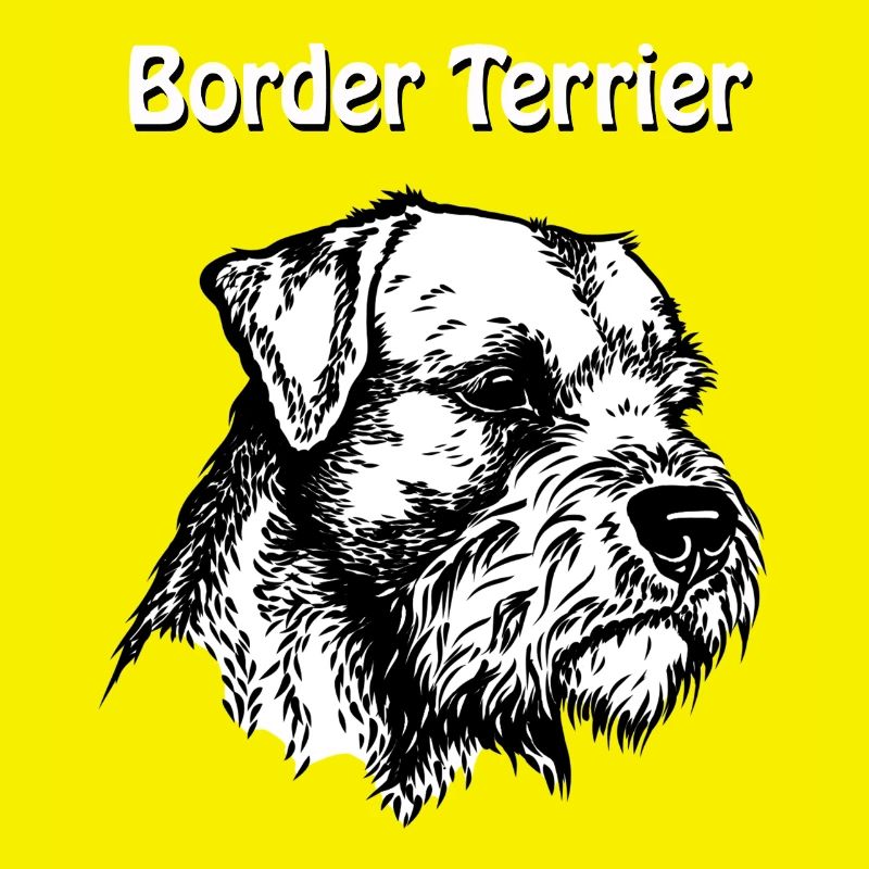 Border Terrier Portrait #2