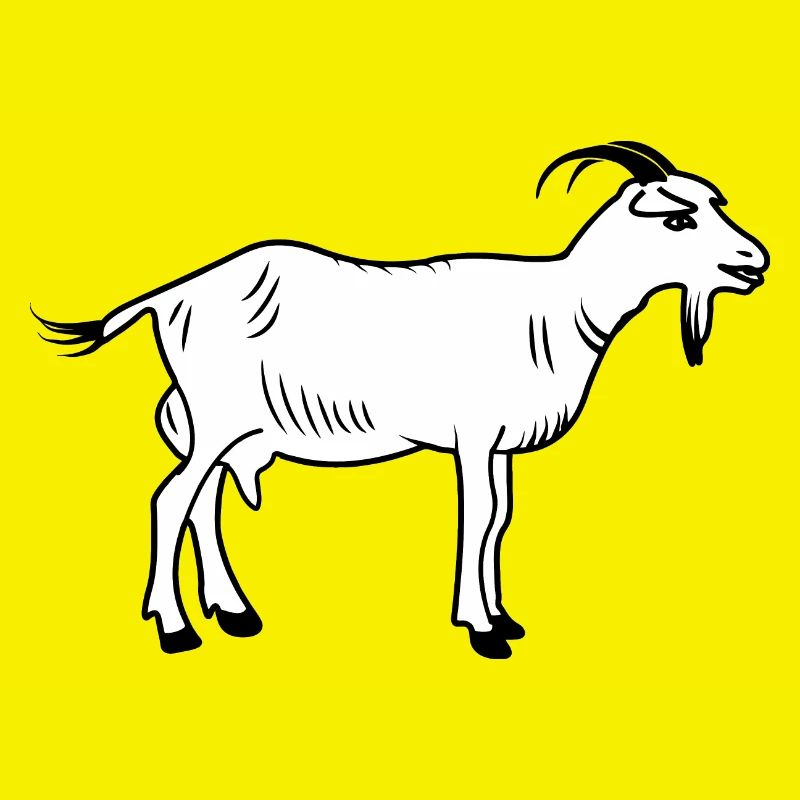 Chèvre blanche