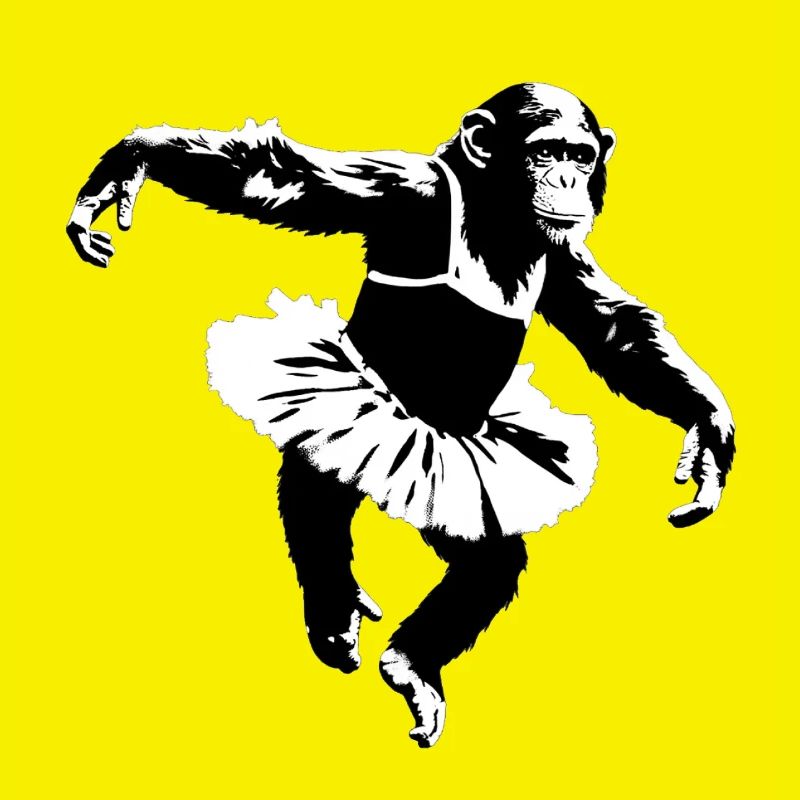 Chimpanzé dansant