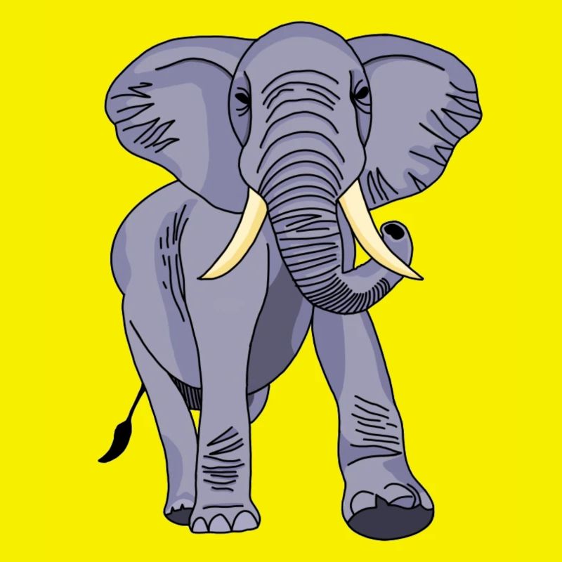 Éléphant