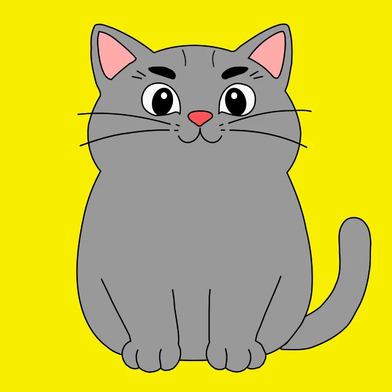 Chat gris
