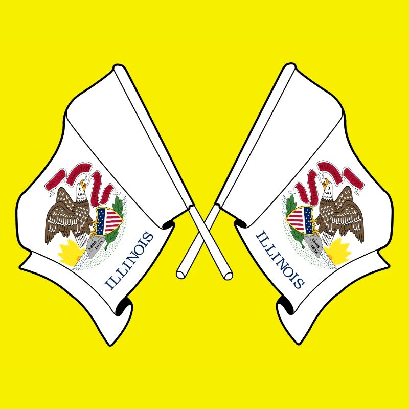 Two flags crossed Illinois