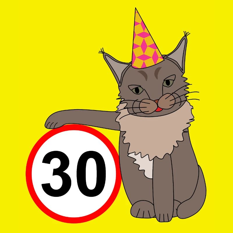 Geburtstag 30