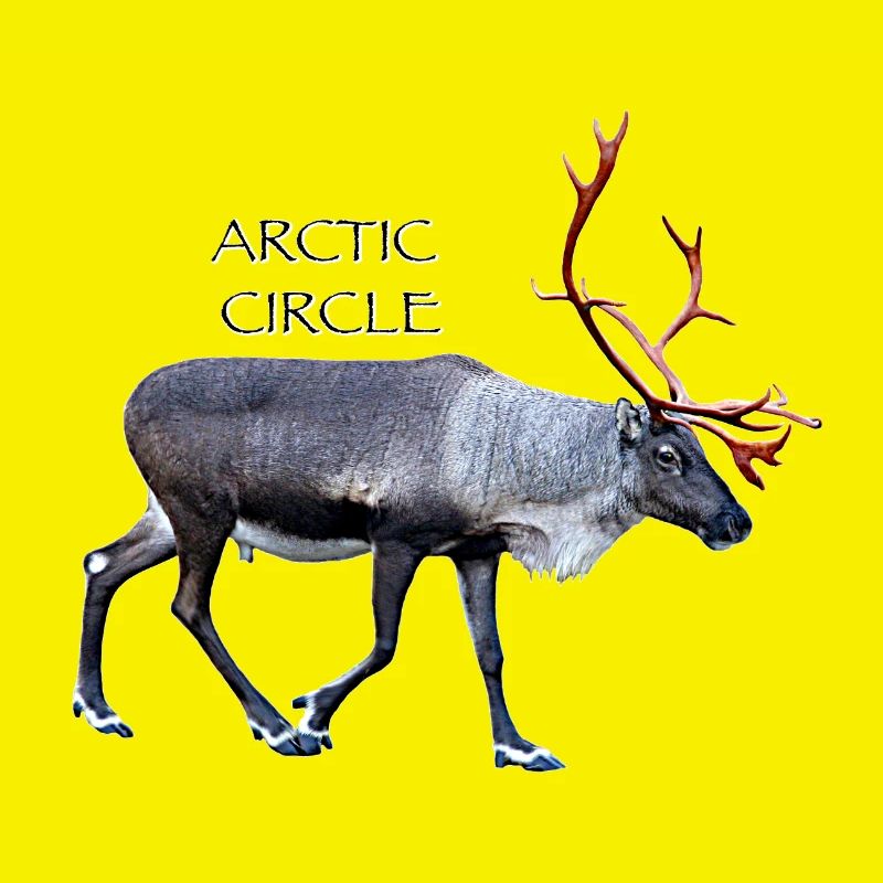 Arctic Circle