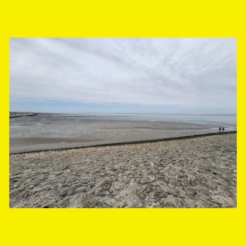 Image de sable et d’eau de la côte de la mer du Nord