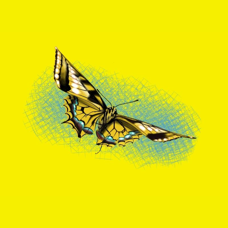 Papillon jaune Accent bleu