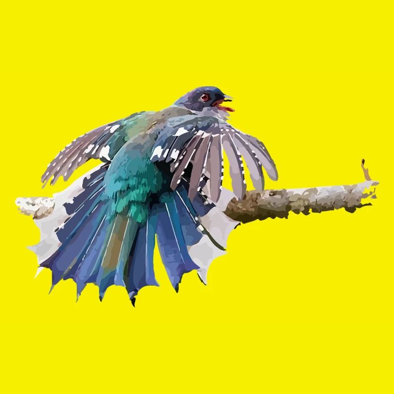 Bunter Vogel im Flug auf Ast