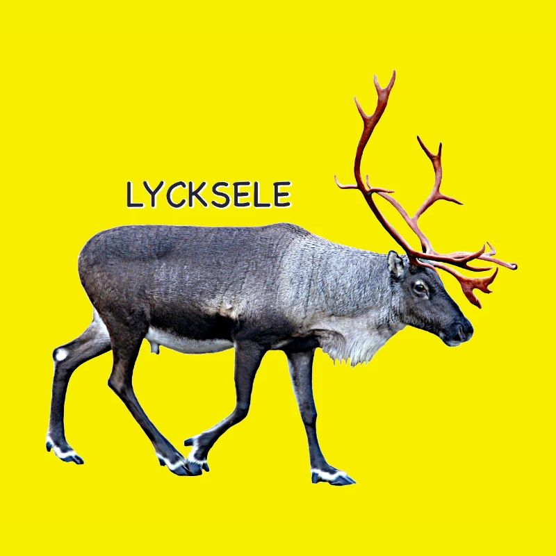 LYCKSELE