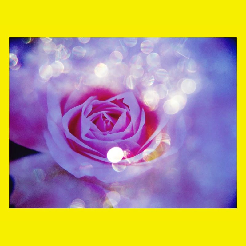 L’exposition multiple lumineuse de Rose