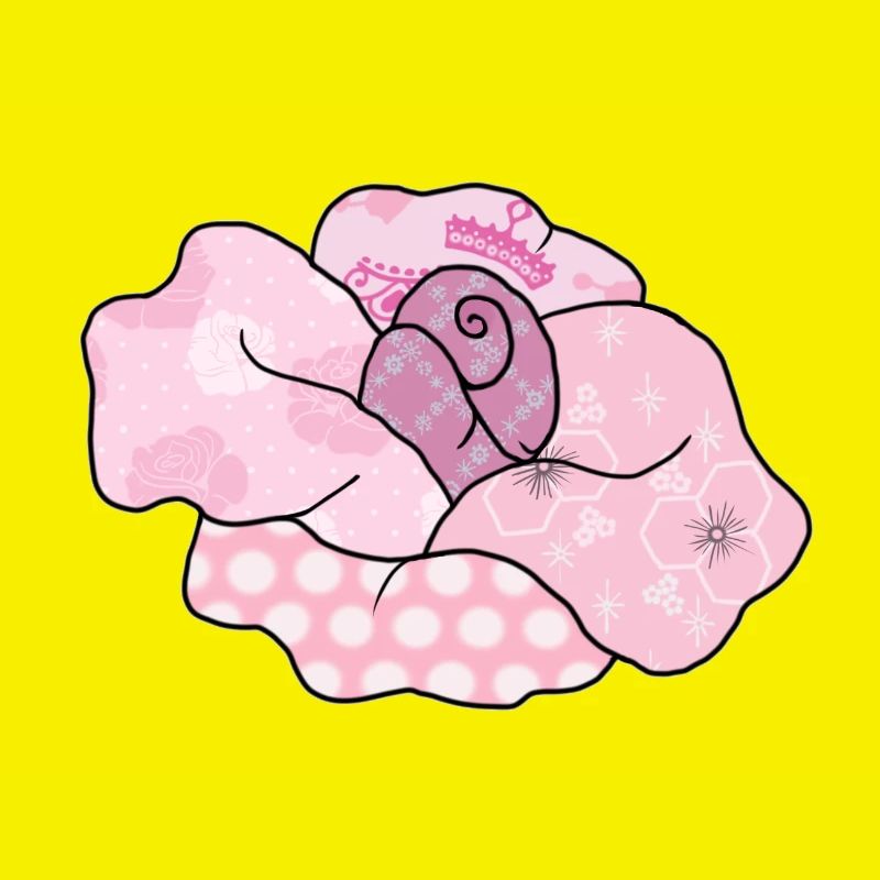 bunte_Rose