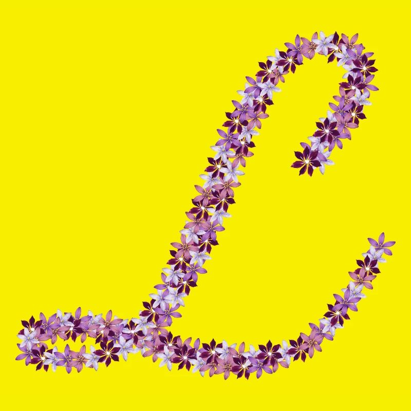 Symphonie des Fleurs