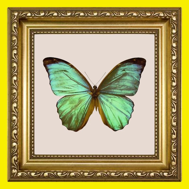 Emerald Butterfly in Gold Frame