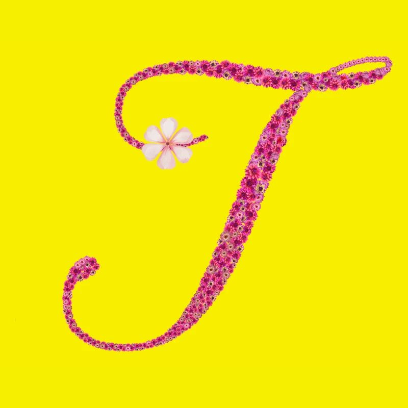 "T" , ein Zeichen mit stiller Kraft