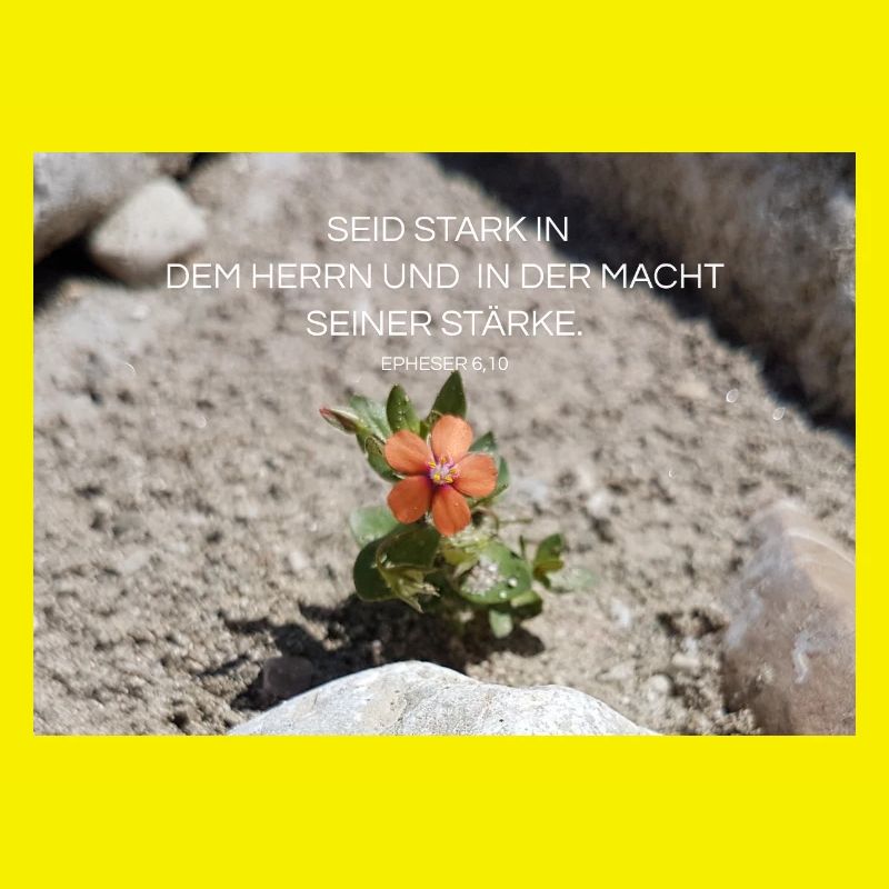 Kraft durch Glauben Blume der Stärke