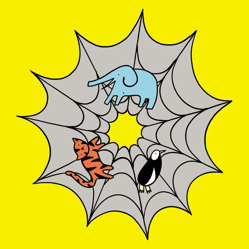 Spider web
