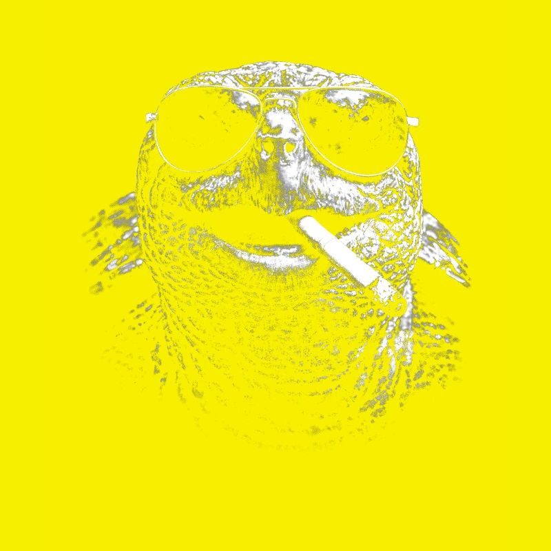 Turtle with sunglasses and cigarette