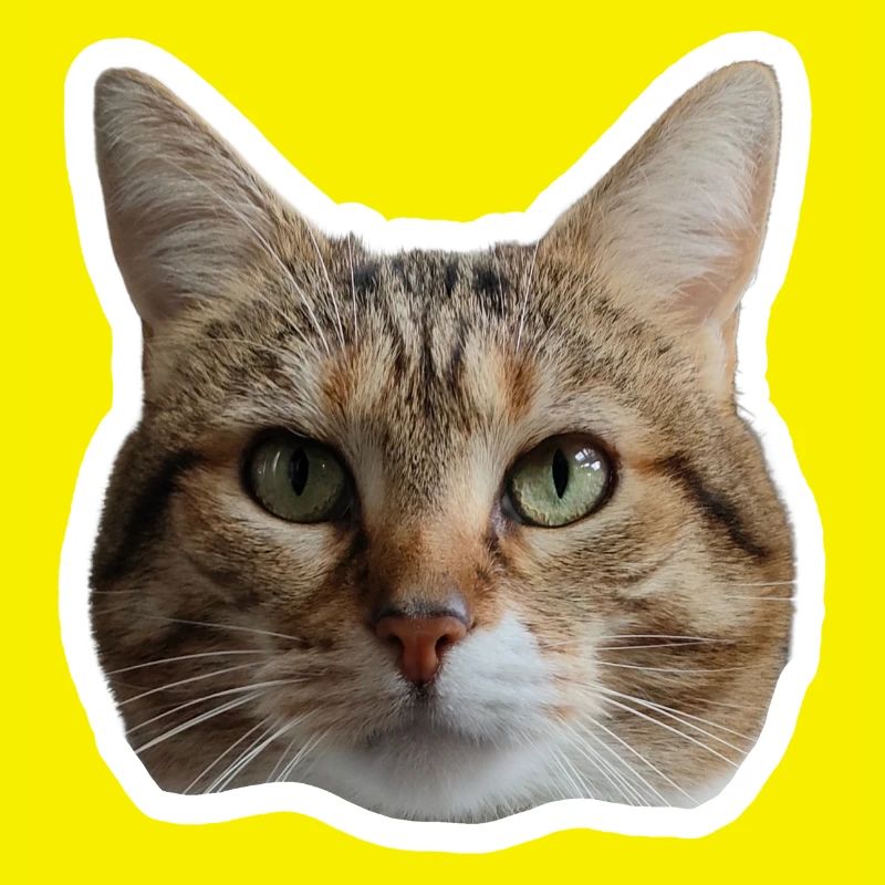 Sticker Missty