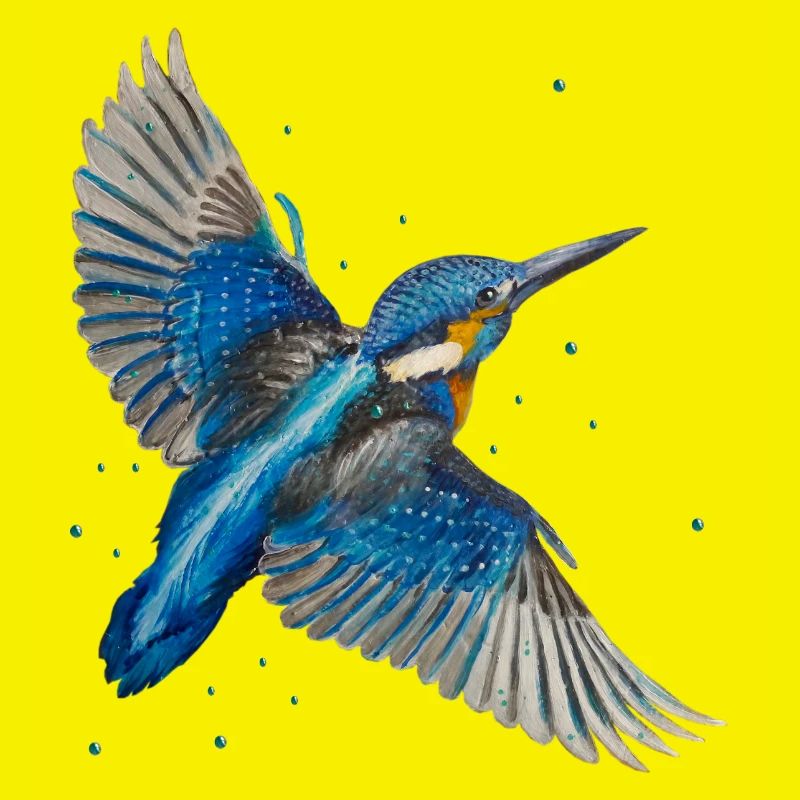 Kingfisher in flight