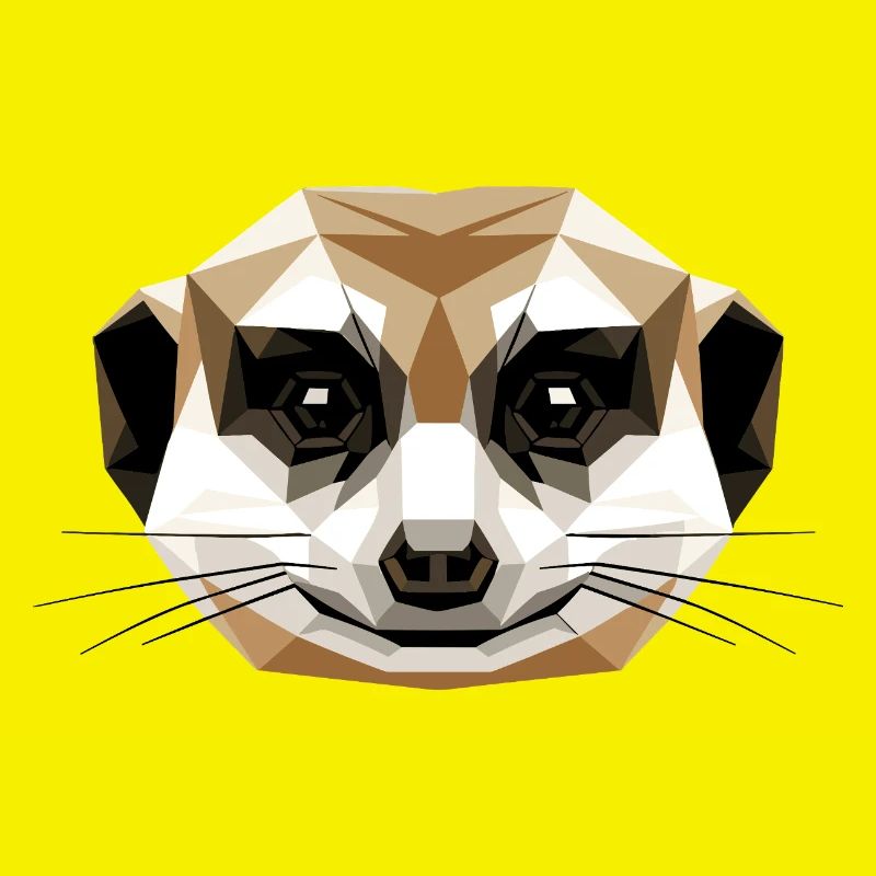 Suricate Suricate Douce Mangouste Suricate