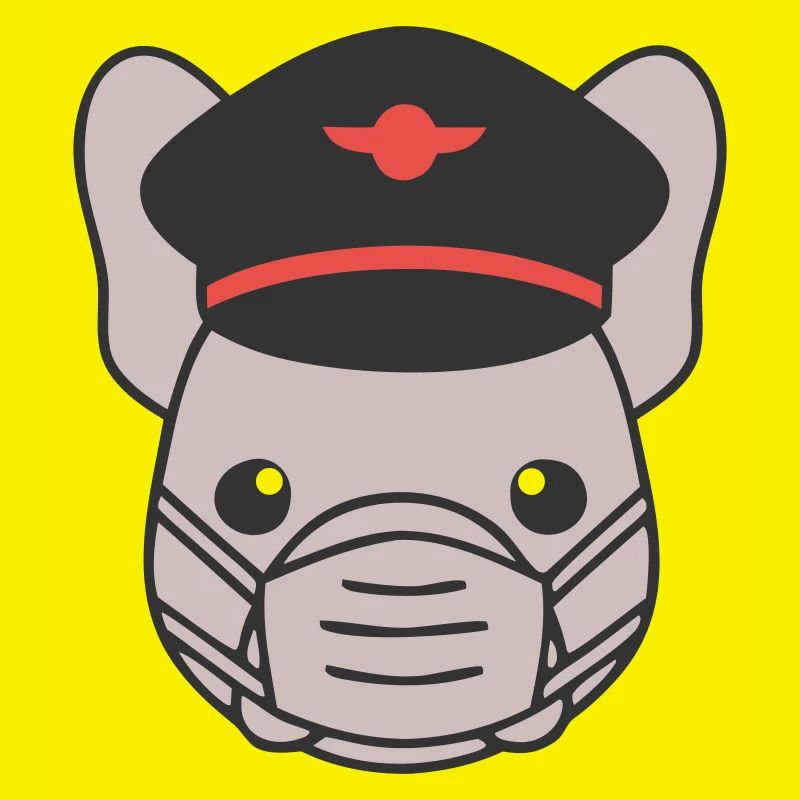 Frenchie Pilot Mask Flying