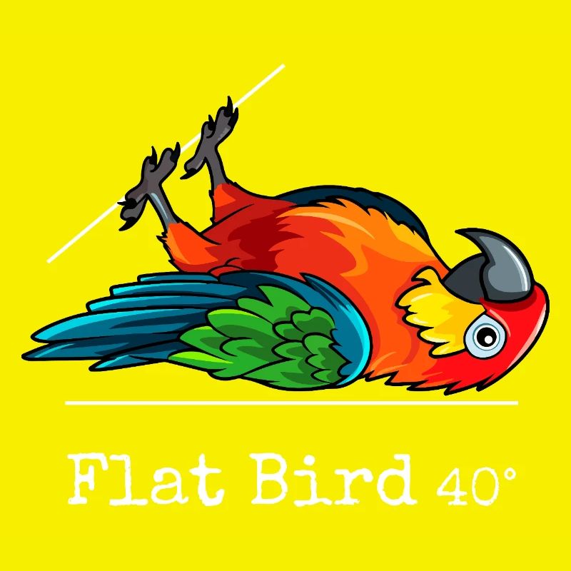 Flat Bird à 40 degrés