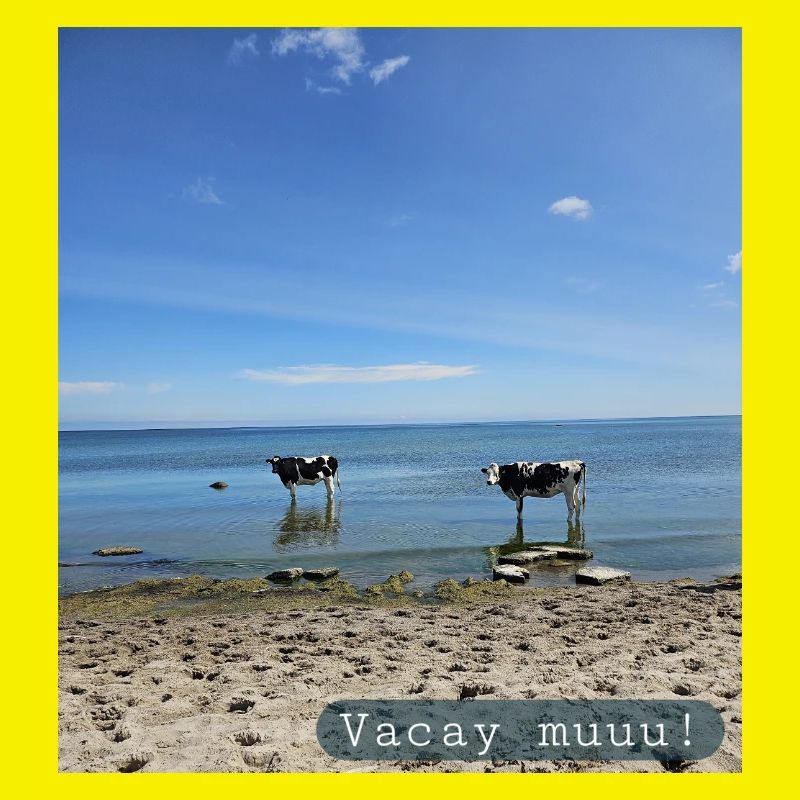 Vacay muuu