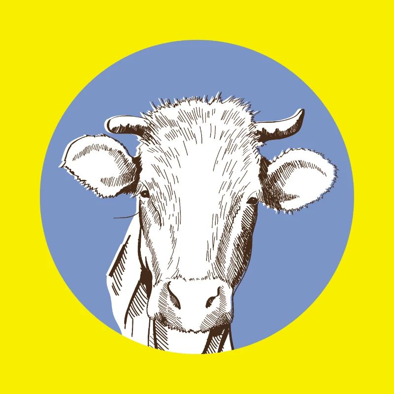 Vache