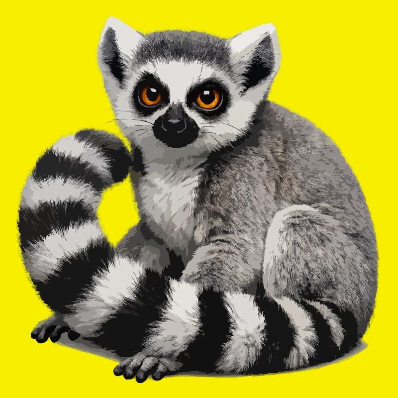 Ring-tailed lemur illustration