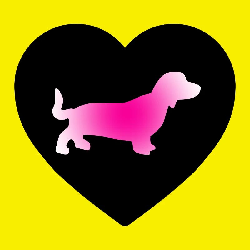 Dachshund