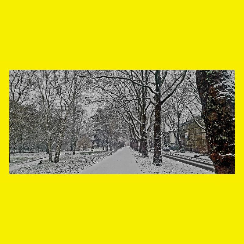 Winter avenue in snowfall